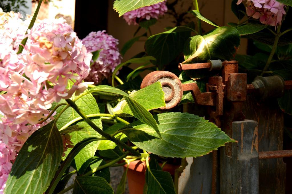 Marakasa B&B Sant Antoni De Calonge Luaran gambar